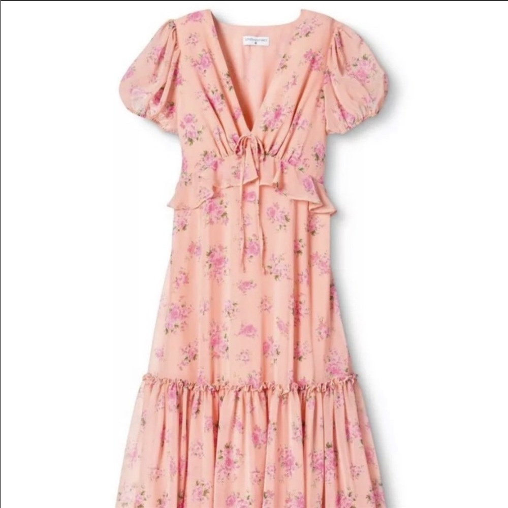 Love shack fancy pink floral dress sz4 NWT